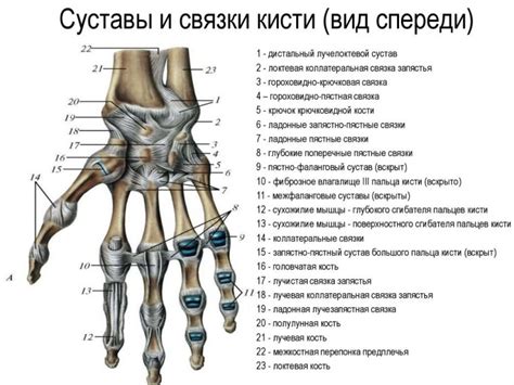 Боль в лучезапястном суставе обеих рук - причины и возможные лечебные методы